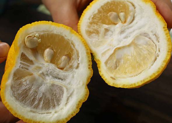 Té de Yuzu coreano - Yuja - Marca Surasang